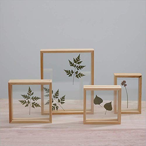Nuevo conjunto de mesa cuadrada creativa marco de cuadro de flor seca pared de doble cara marco de foto de madera maciza marco de muestra de planta 7 pulgadas